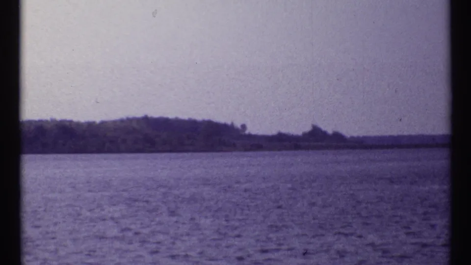 1967 Montreal waterfront frame with calm water, low wooded shore, hazy sky, and a small bird in flight.