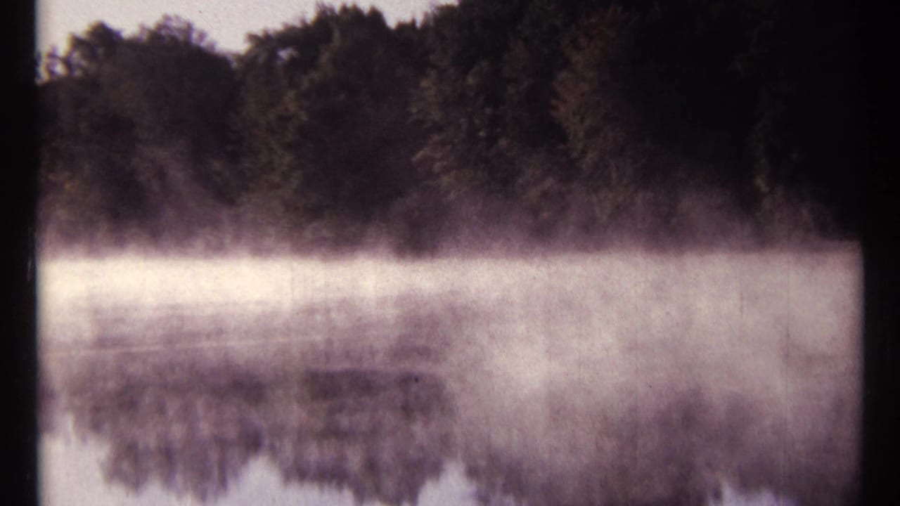 Misty river surface with trees reflected along the far bank.