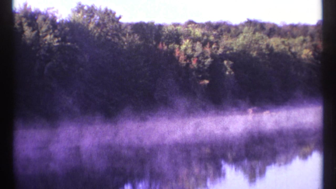 Mist over a quiet lake with trees reflected along the far shore.