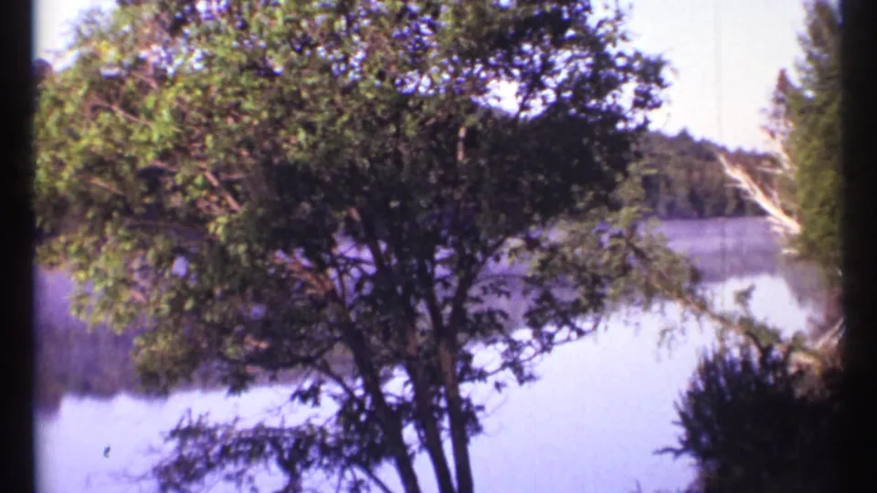 1967 Ottawa home-movie frame showing a leafy foreground tree against misty lake water and distant woods.