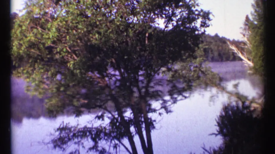 1967 Ottawa 8mm frame with a dark foreground tree, quiet mist-covered water, and wooded shore beyond.