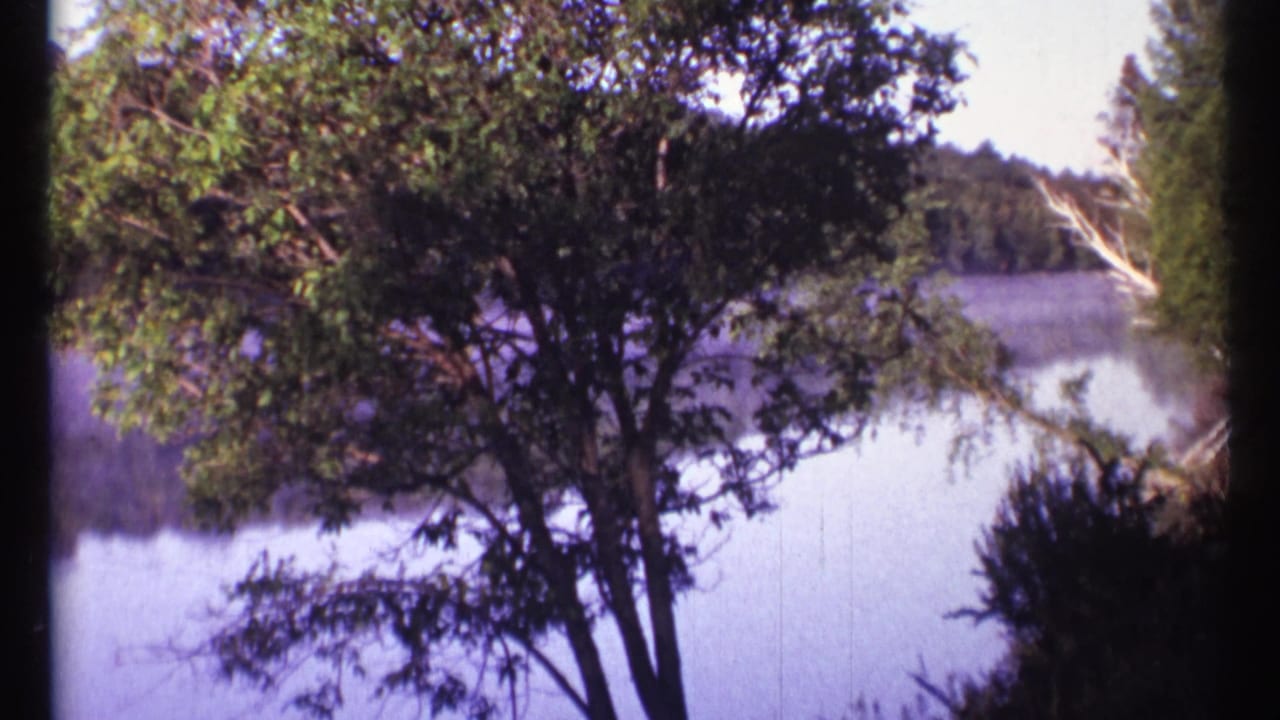 Trees frame a calm body of water with a wooded shoreline beyond.