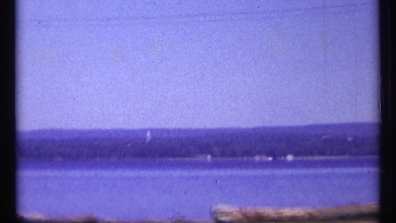 Blue water with distant wooded shoreline, pale sky, power lines, and a foreground log barrier.