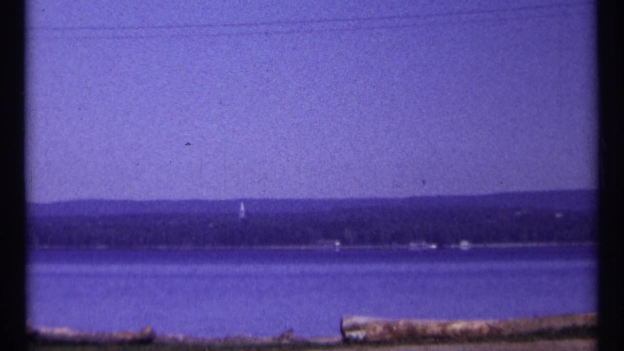 Wide blue water, distant treeline, faint shoreline buildings, power lines, and foreground logs.