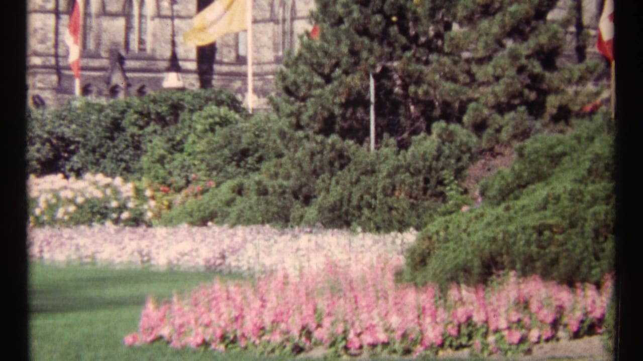 Pink and white flowerbeds, shrubs, trees, flagpoles, and a stone building facade.