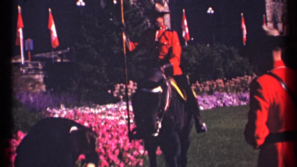 Ottawa ceremonial scene with a mounted officer in red dress uniform on a black horse, Canadian flags, and flower beds at night.