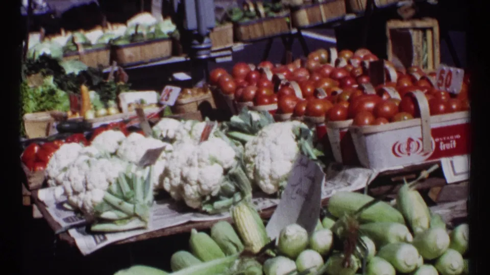 1967 Ottawa market display showing cauliflower, red tomato baskets, corn, squash, crates, and handwritten price signage.