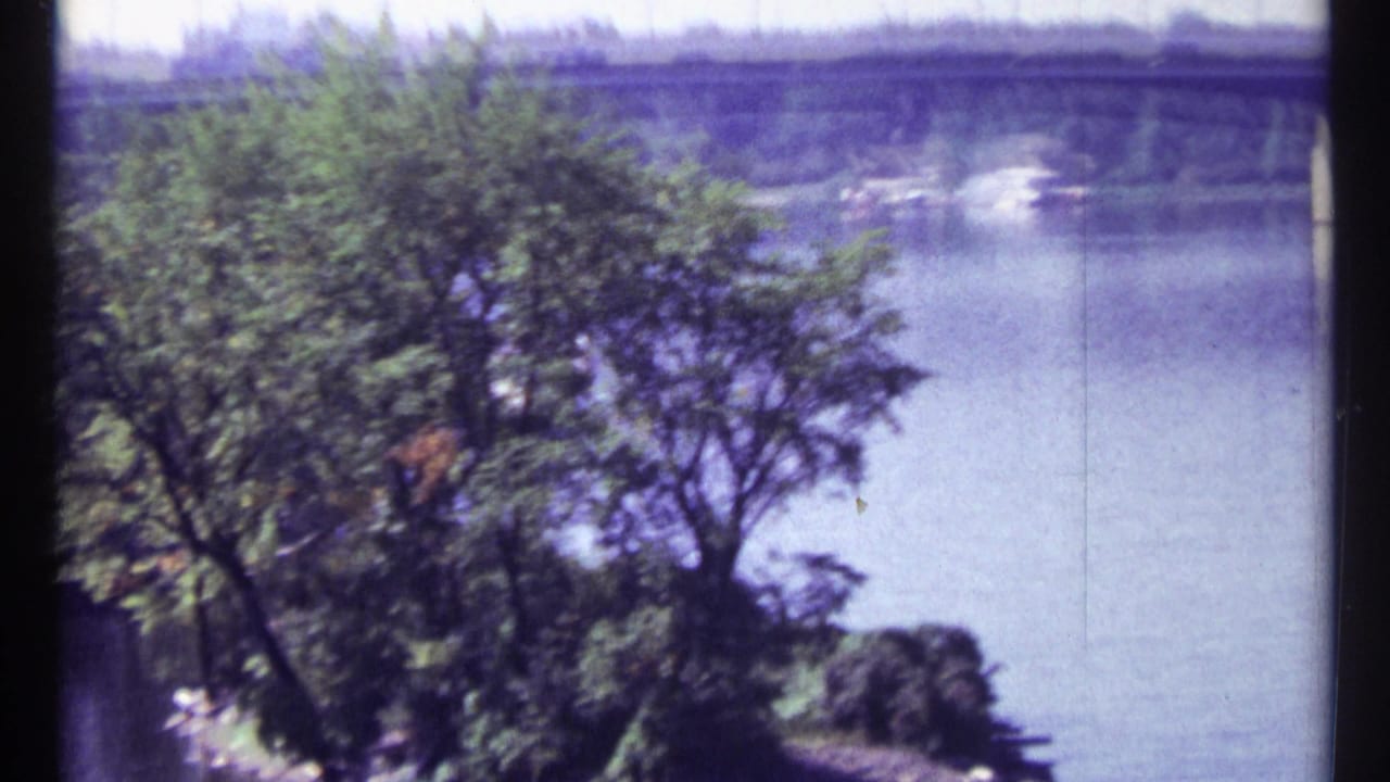Leafy trees in front of a river with a distant concrete span and flowing water.