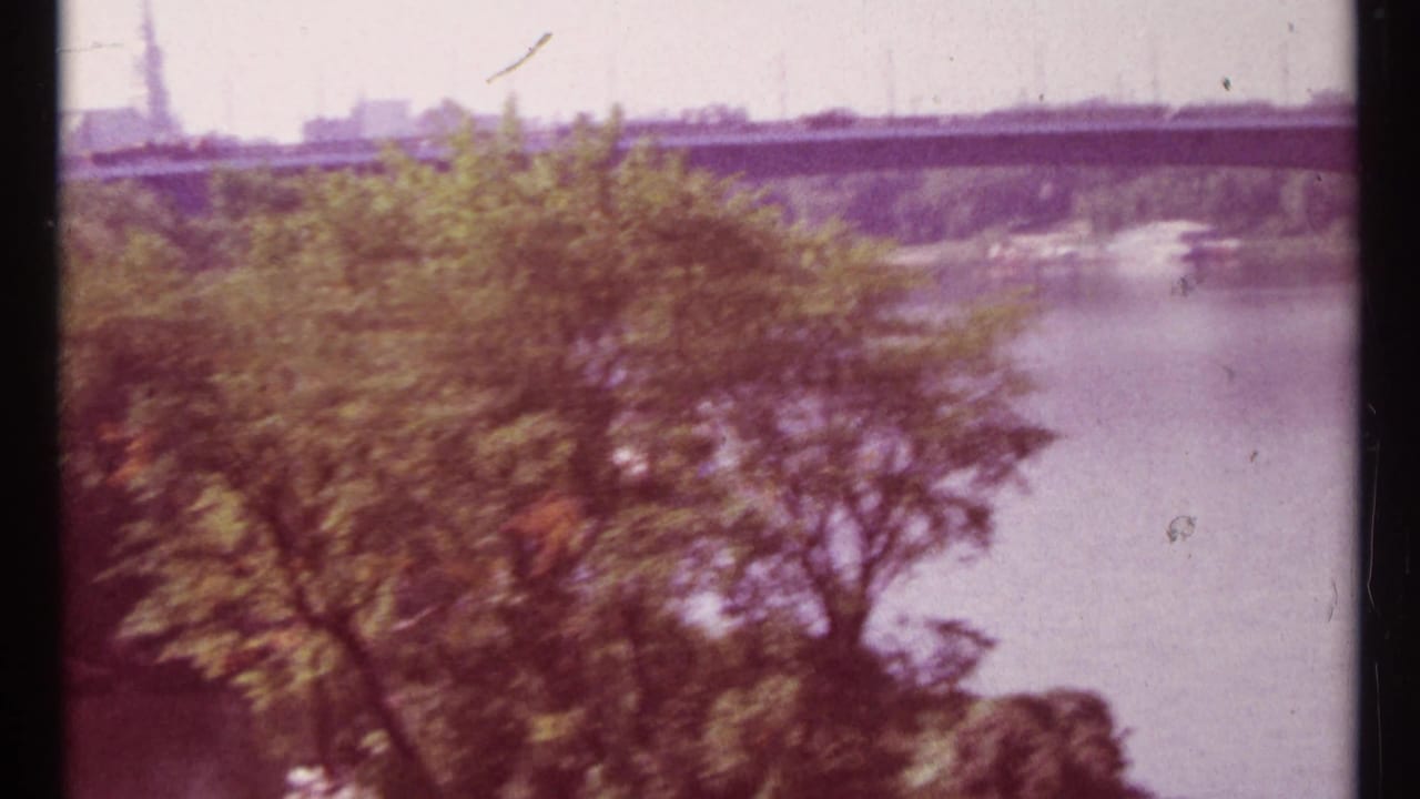 Leafy trees in the foreground beside a wide river with a distant bridge.