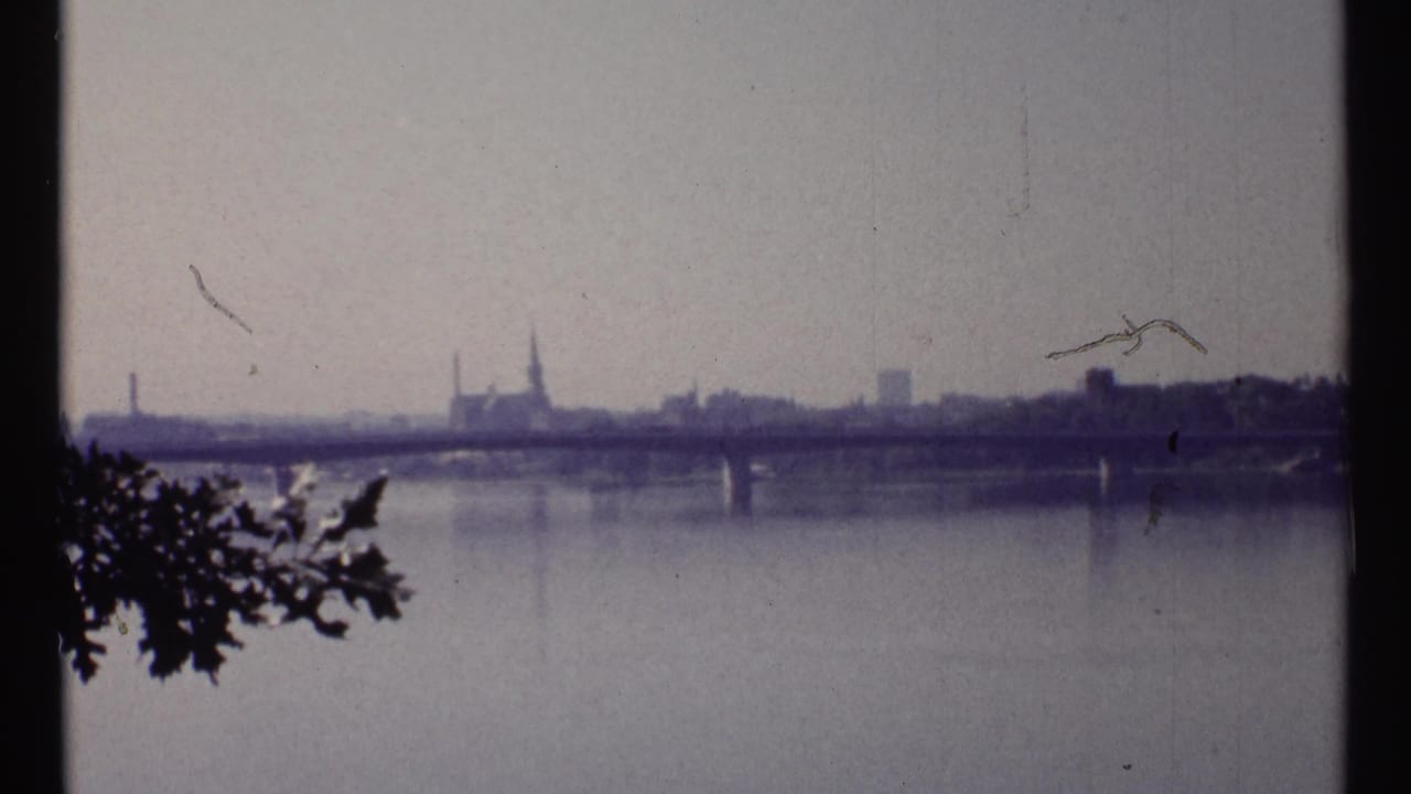 Wide river with bridge and distant skyline framed by dark tree branches.