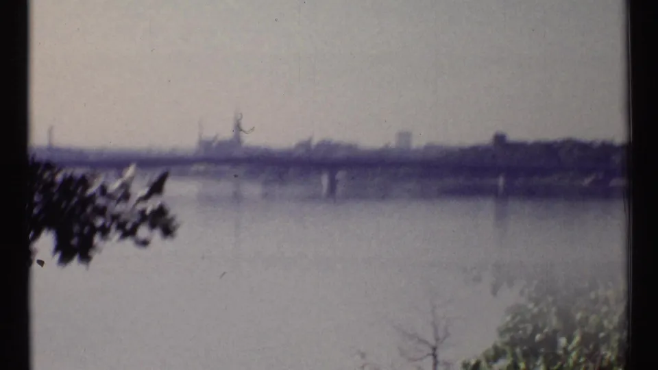 Soft 8mm frame of the Ottawa river, showing a bridge and distant skyline through foreground tree branches.