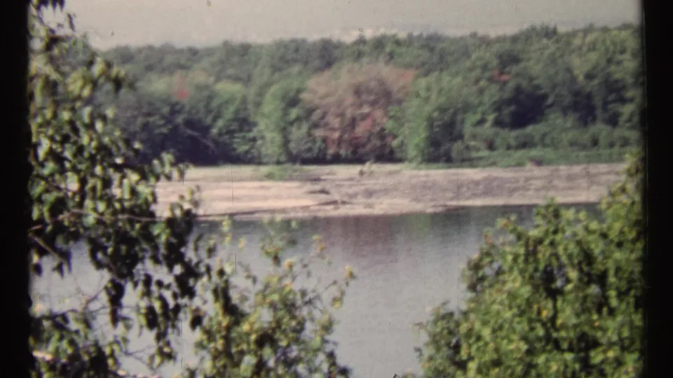 1967 Ottawa home-movie frame showing river water, pale exposed shoreline, dense green trees, and foreground branches.