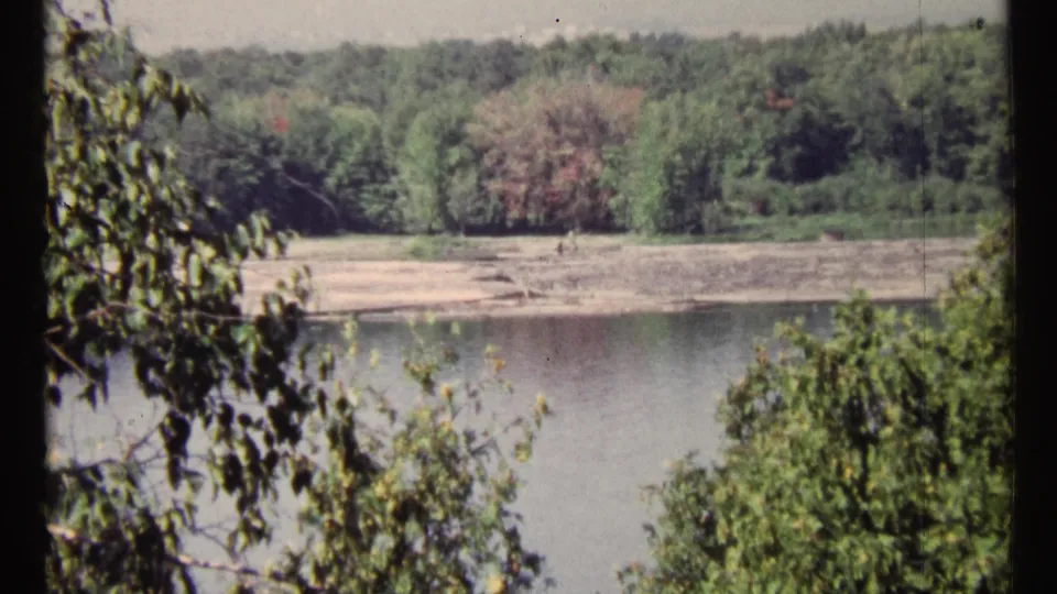 1967 Ottawa riverside view with calm water, pale bank, green trees, and leafy branches framing the lower edge.