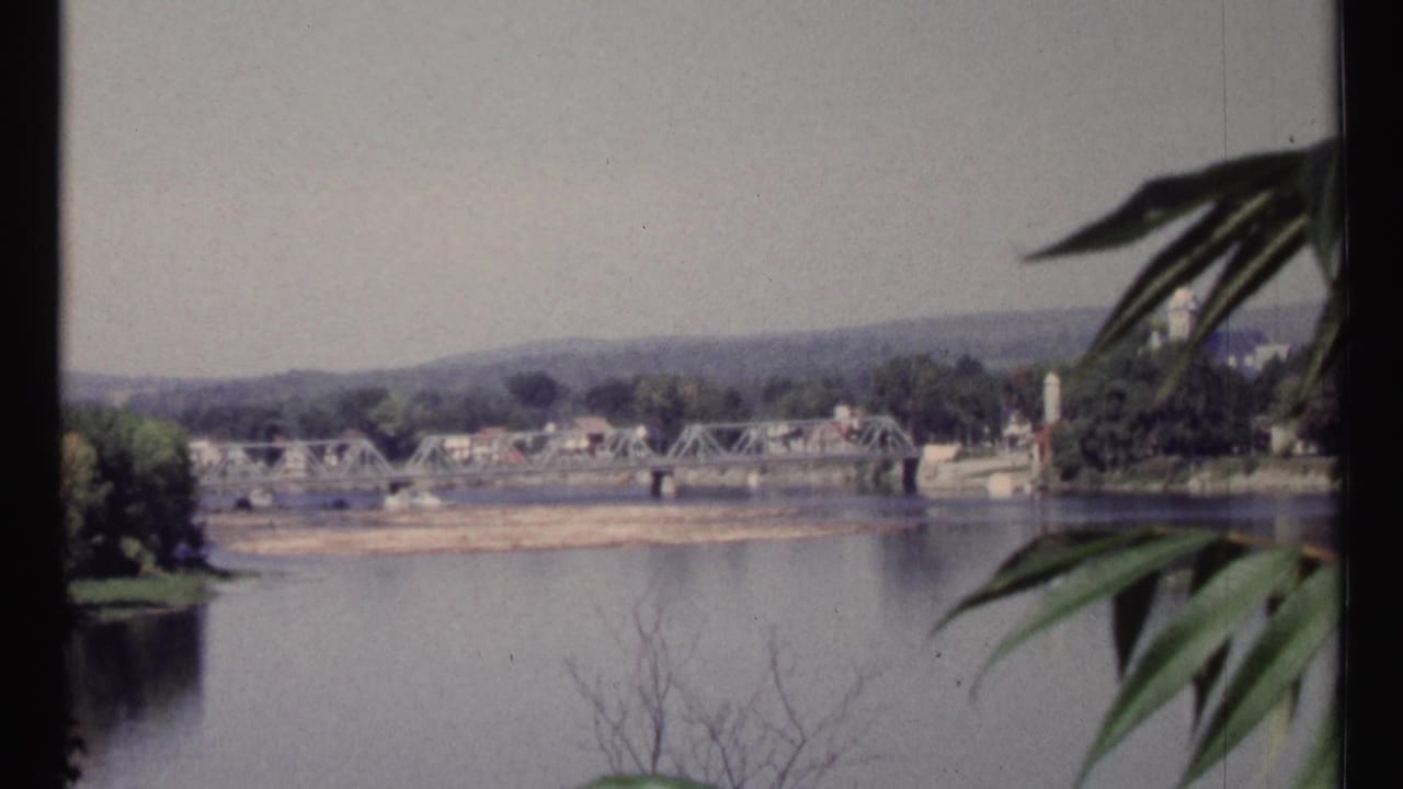 Distant bridge and river seen through a window or foreground leaves.