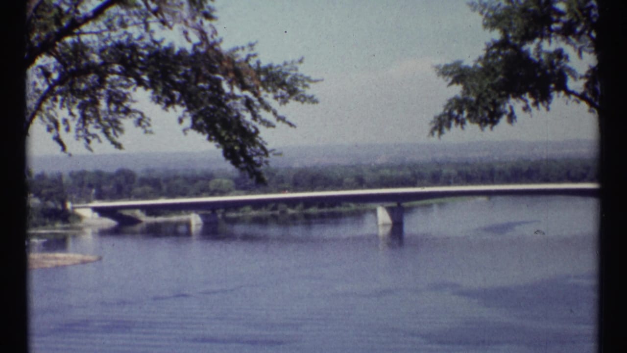 Long bridge crossing a wide river with leafy branches framing the upper edge.