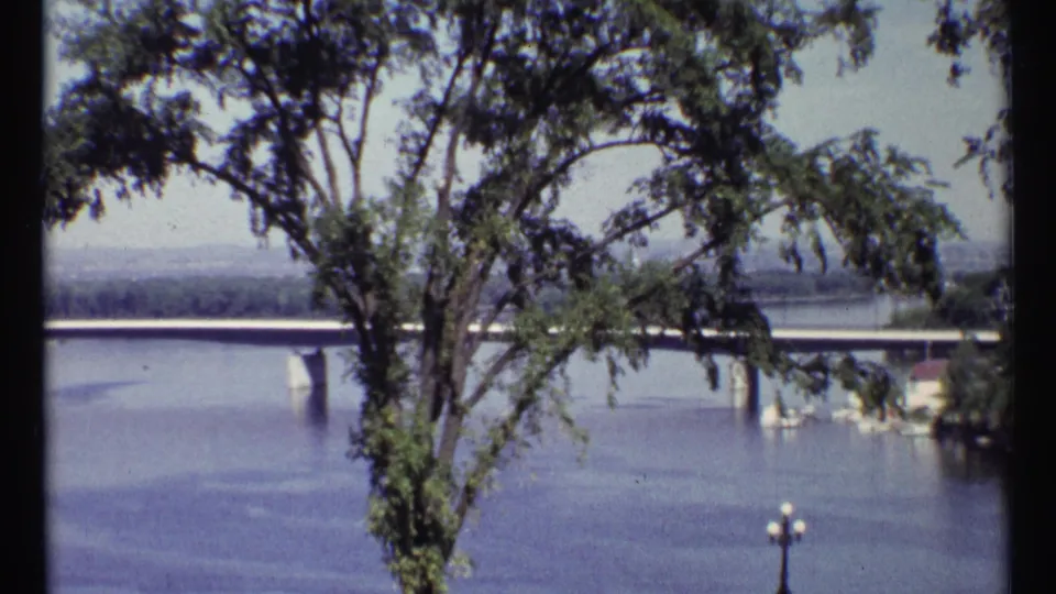 1967 Ottawa overlook shot with a leafy tree in the foreground and a bridge crossing the river behind it.