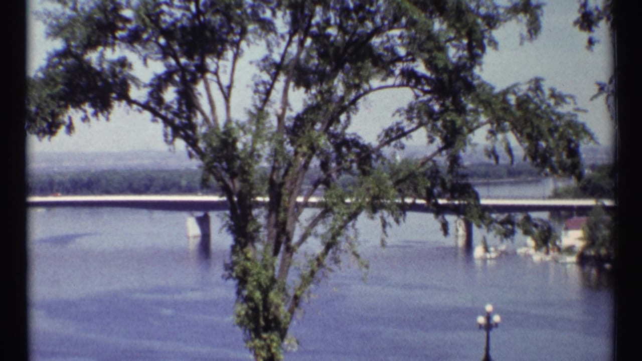 Bridge over a river framed by tree branches and film edges.