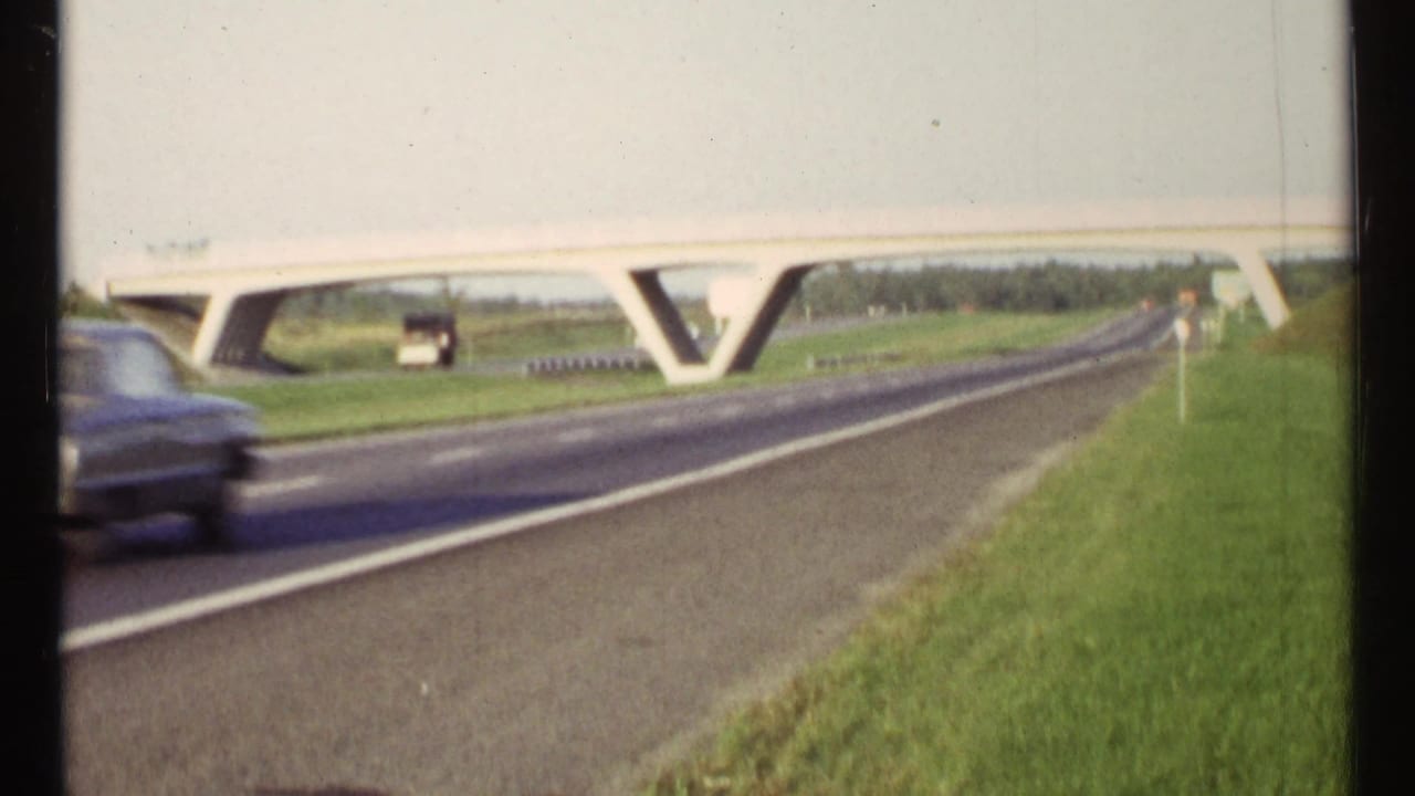 Roadway under a concrete overpass with a blurred car and grassy shoulder.