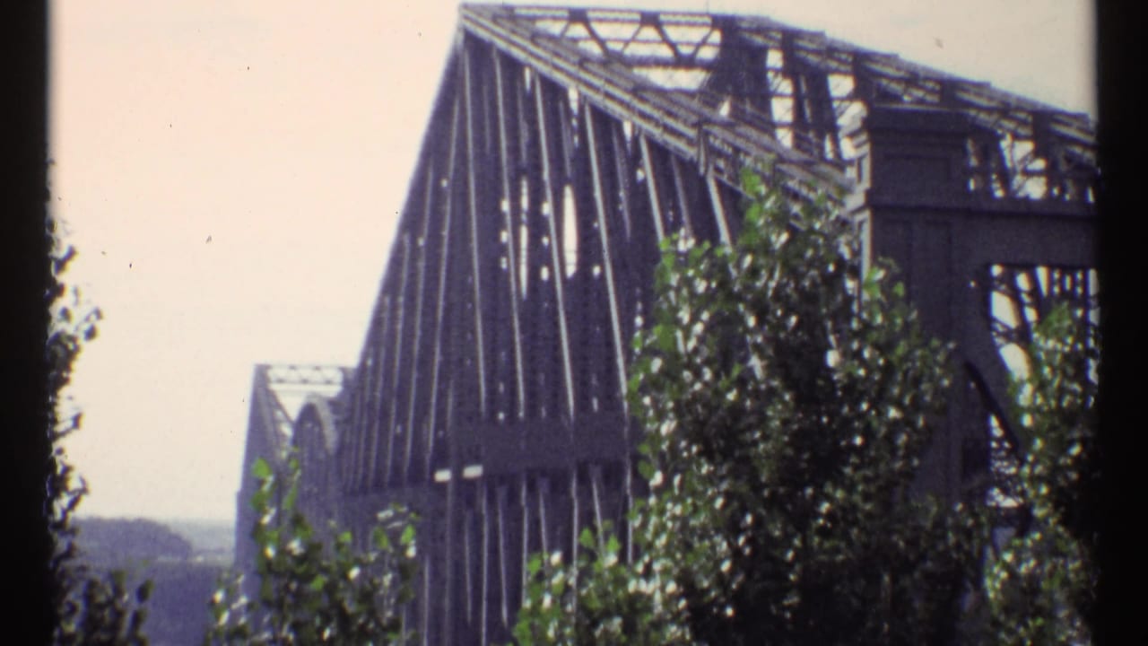 Exterior view of a steel truss bridge partly framed by trees.