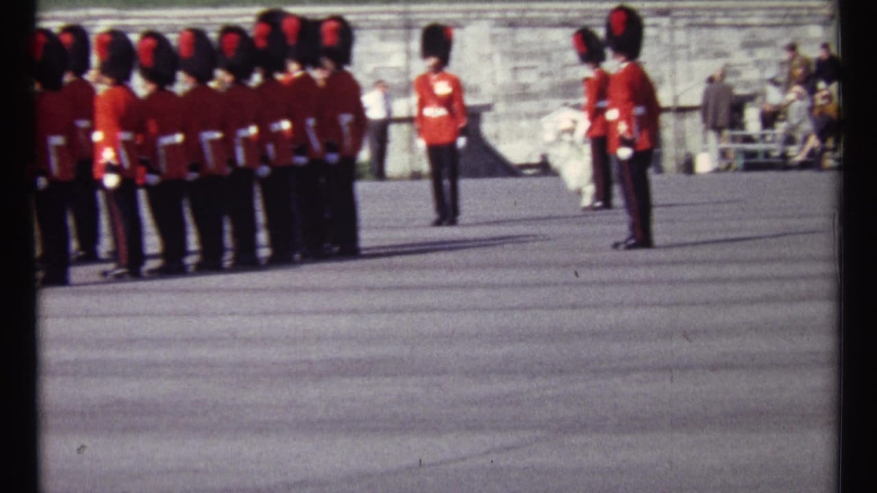 A line of guards faces a single red-coated guard on a broad paved area.