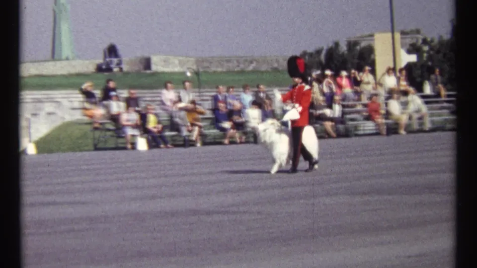1967 Ottawa frame showing a ceremonial guard beside a white horse, with spectators watching from bleachers in the background.