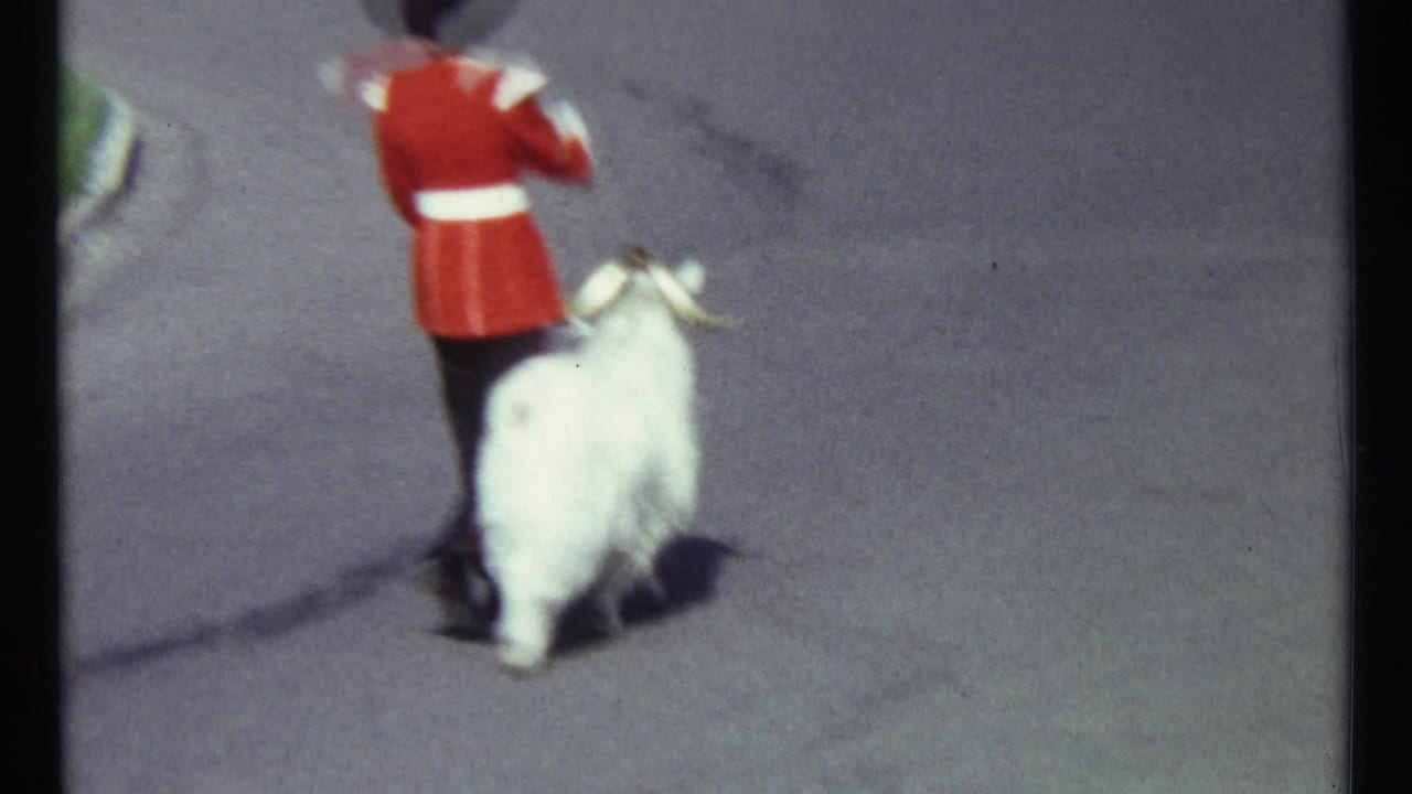 Red-coated guard walks a white goat along a paved street.