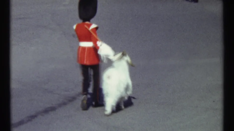 1967 Ottawa home-movie frame with a red-coated ceremonial guard walking beside a white goat on open pavement.