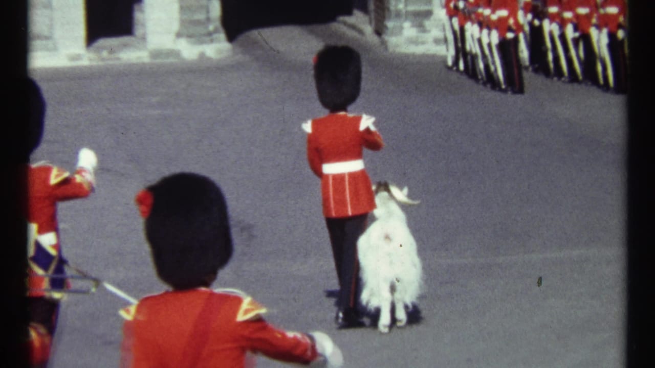Red-uniformed guard leading a white goat across a paved ceremonial ground.