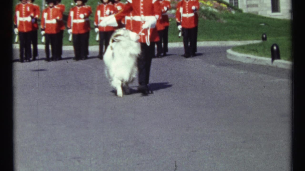 Guard in a red tunic leads a shaggy white goat past uniformed guards on a paved courtyard.