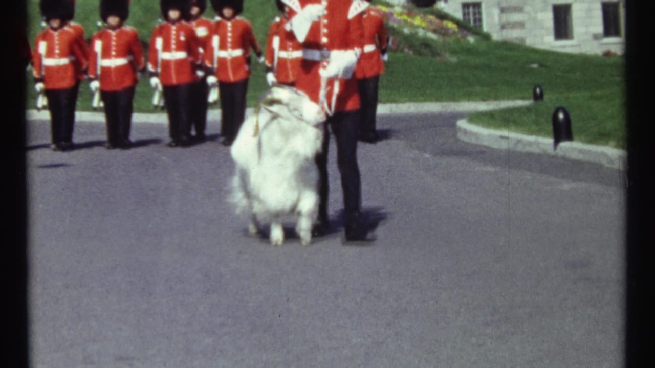 White goat and red-uniformed guard move across the courtyard in front of standing guards.