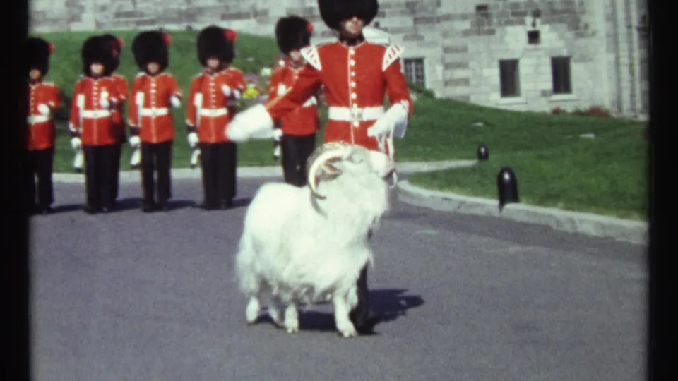 1967 Ottawa home-movie frame of a horned white goat beside a ceremonial guard, with more guards in red tunics behind.