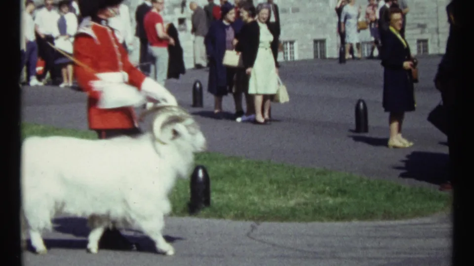 1967 Ottawa frame showing the white goat moving past spectators and a seated or crouched red-uniformed guard on the grounds.