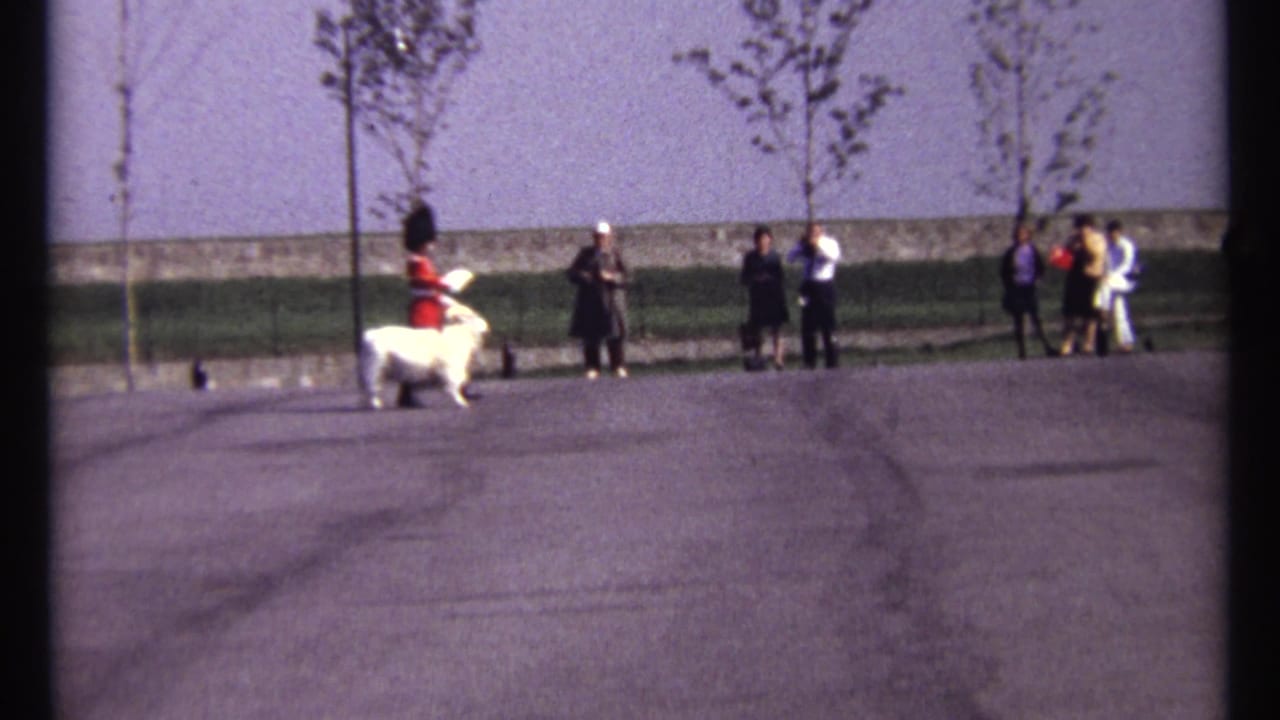 Guard and white goat move across open pavement while spectators stand near trees.