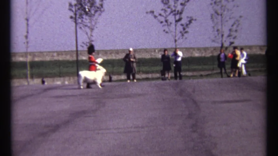The ceremonial guard and white goat continue across an open paved area in Ottawa, with spectators lined near small trees and a wall.