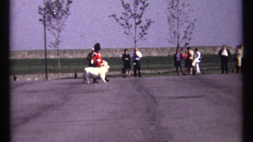 A distant 1967 Ottawa view shows the ceremonial goat and red-uniformed guard moving past spectators near a wall and young trees.