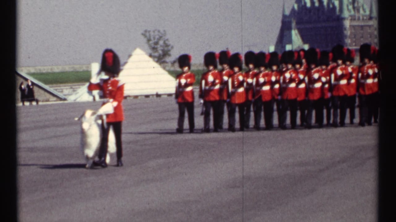 Red-coated guards stand and march on a wide plaza while a guard leads a white goat.