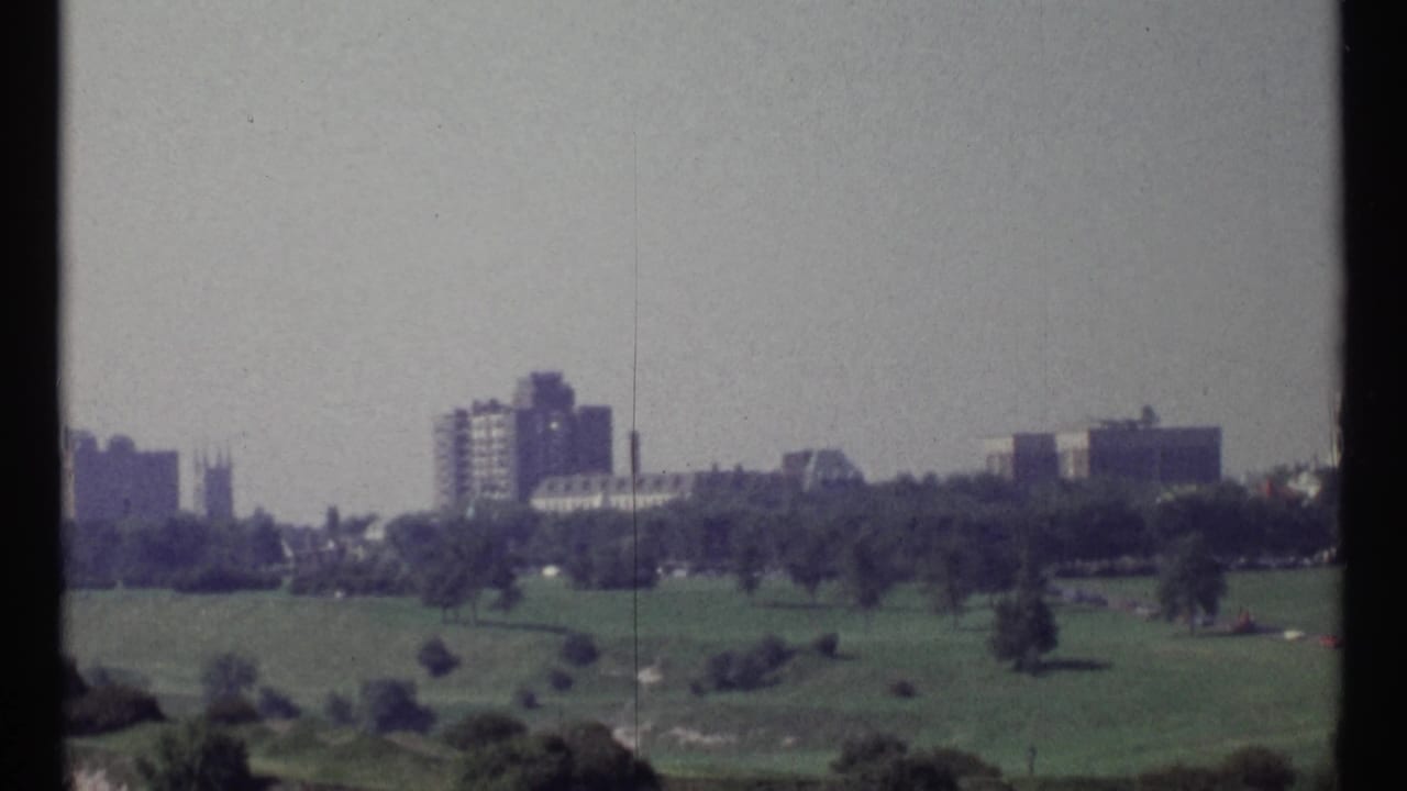 Distant city buildings beyond a broad green park with scattered trees.