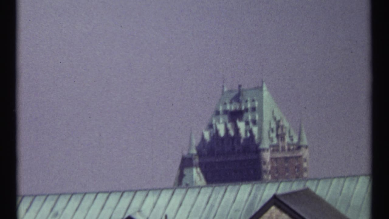 Distant château-style roofline seen above a pale green roof under a muted sky.