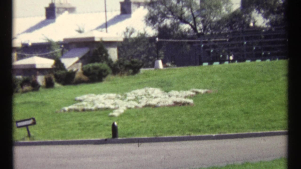 Manicured green lawn with white flowers arranged as a peace symbol near a road edge.
