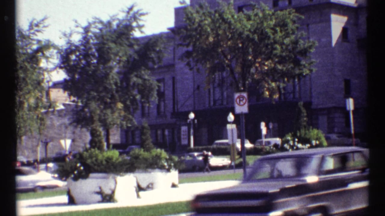 Cars pass a tree-lined street with stone buildings, planters, pedestrians, and a no-parking sign.