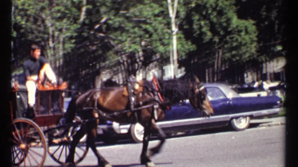 1967 Ottawa street scene with a carriage driver, dark horse, wooden carriage, and large blue sedan beside a landscaped edge.