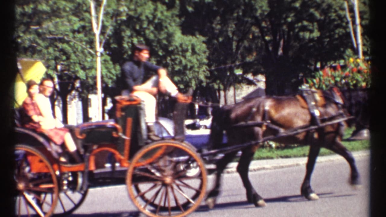 Horse-drawn carriage with passengers moving along a tree-lined street.