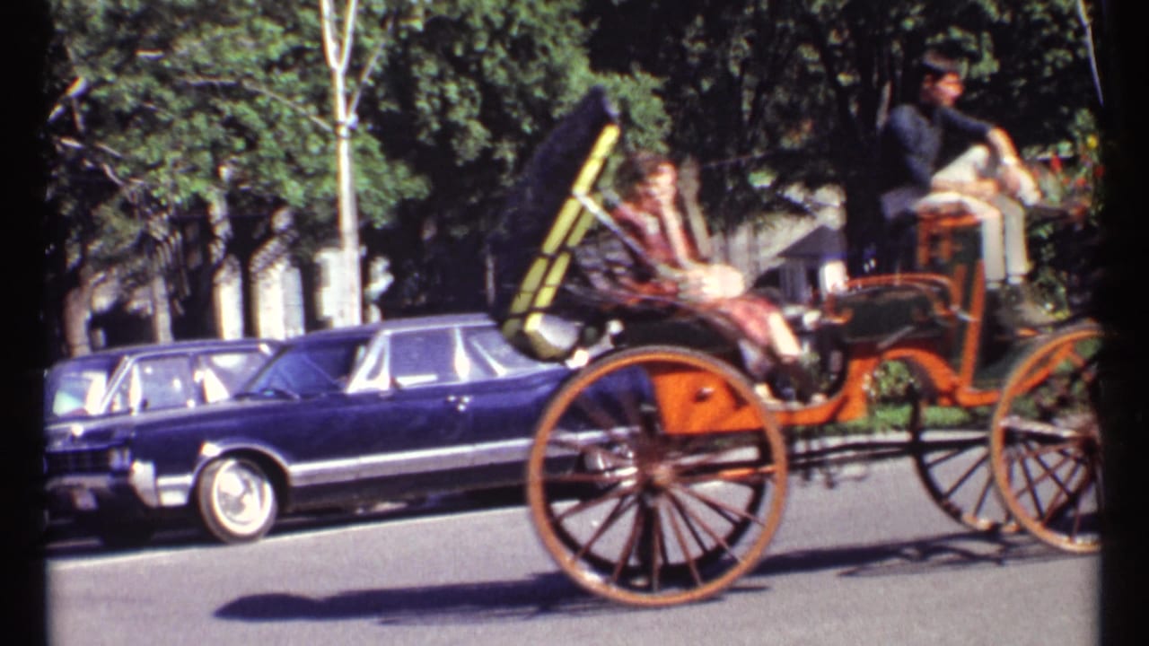 Horse-drawn carriage passing parked cars on a sunny street.