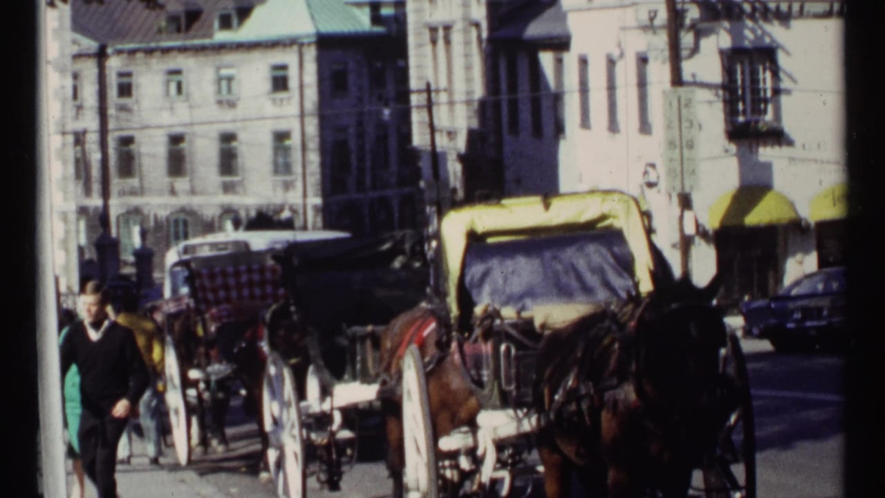 Horse-drawn buggies and pedestrians on a sunny city street.