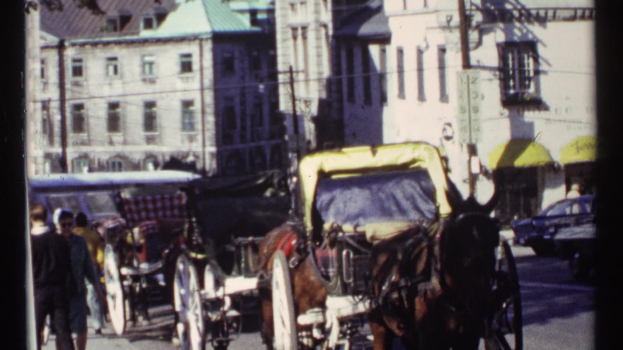 Buggies, horses, cars, and pedestrians share a historic street.