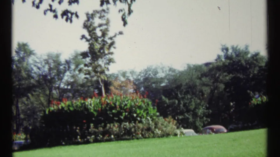 1967 Ottawa home-movie frame showing a sunny green area with trees, tall plantings, and cars partly visible beyond the lawn.