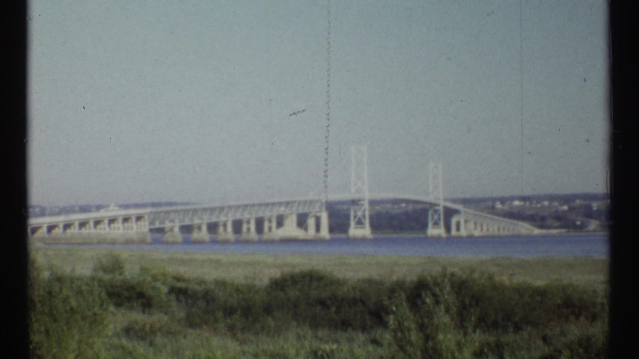 Distant pale suspension bridge across water with grass in the foreground.
