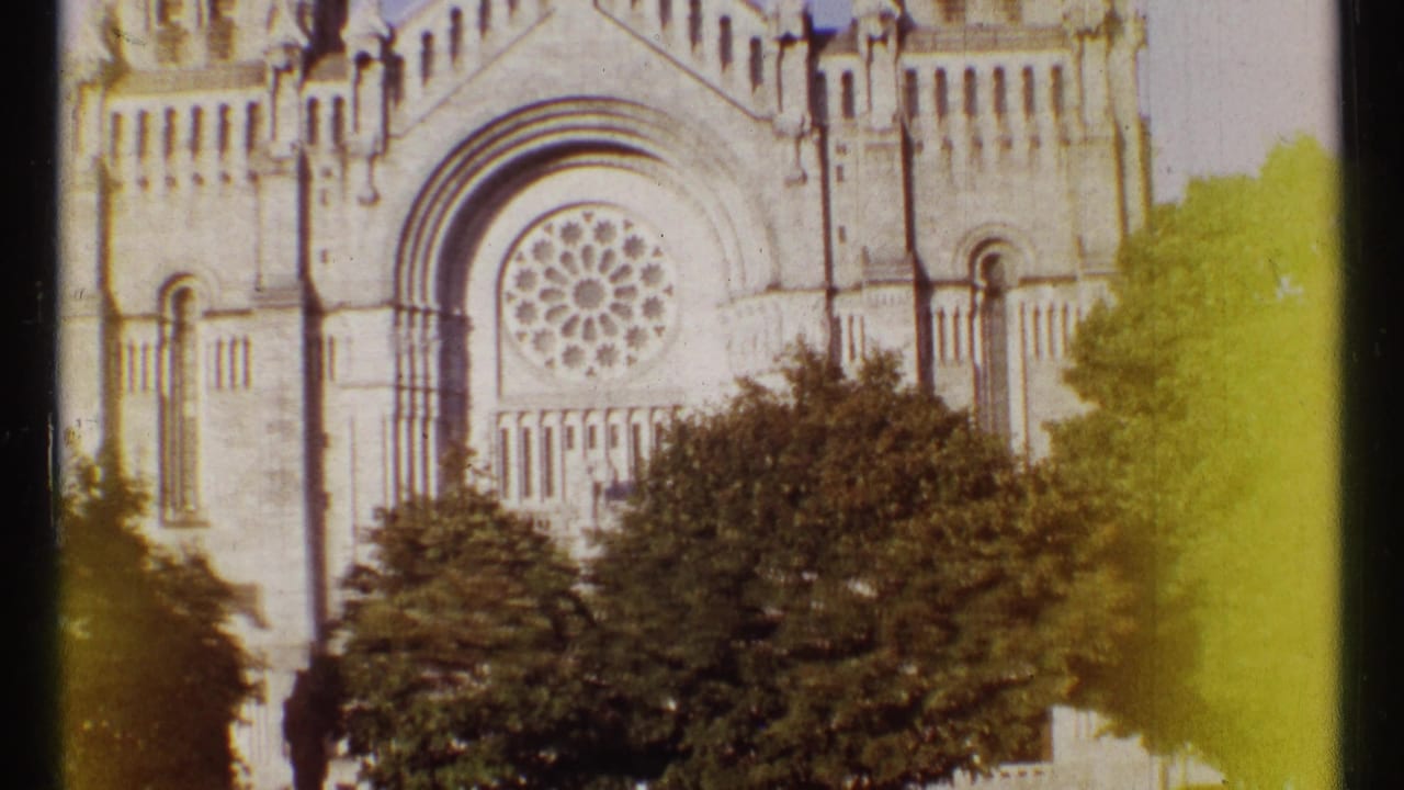 Cathedral facade with rose window partly obscured by trees.