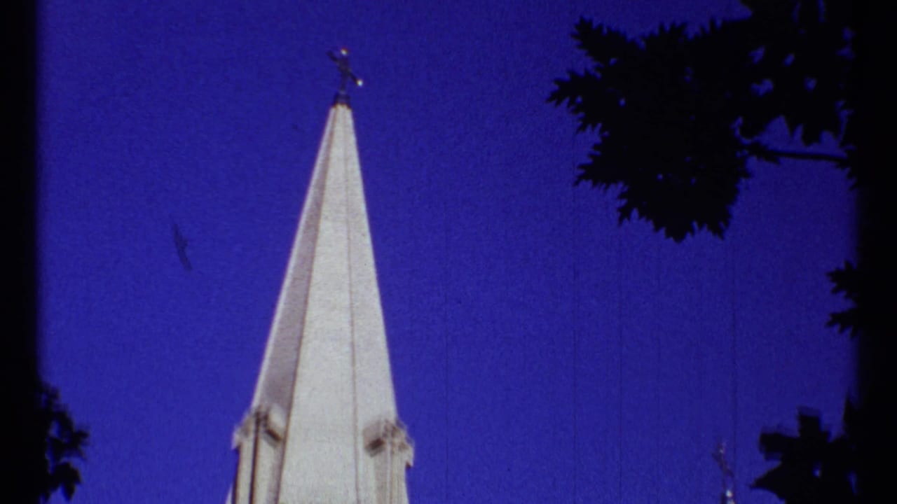White church spire with a cross against a deep blue sky and dark tree branches.