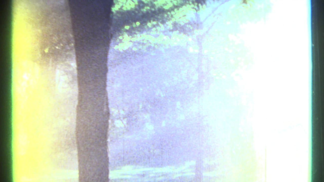Ottawa-area 1967 8mm woodland view, heavily flared with pale blue-green light, tree trunks, and canopy detail.